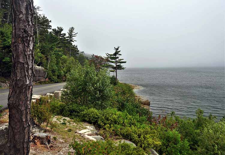 coastal road